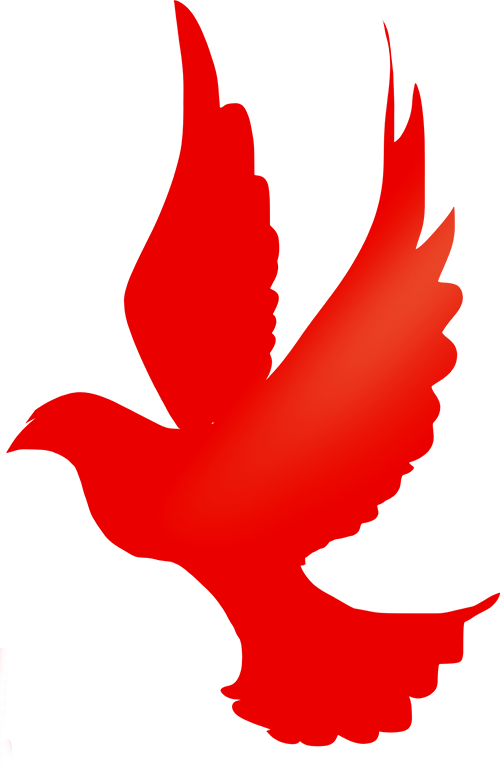 640 (1).png